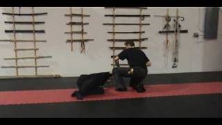 Ken Nagare Fist Flow Takagi Yoshin Ryu Shoden [upl. by Nivrae]