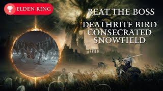 Elden Ring Beat the Boss Deathrite Bird Consecrated Snowfield [upl. by Tuneberg]