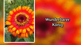 Wunderbarer König [upl. by Googins167]