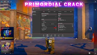 How to Inject Primordial Crack to CS2  DLL  INJECTOR [upl. by Aikemehs]