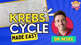 Krebs Cycle  Made Easy [upl. by Ycul925]