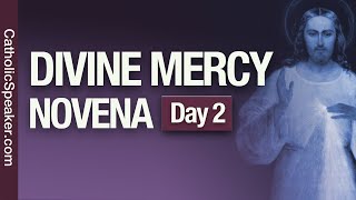 Divine Mercy Novena Day 2 Catholic Speakers Ken and Janelle [upl. by Arehahs]