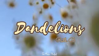 Dandelions Lyrics Ruth B The Music Playlist [upl. by Allwein16]