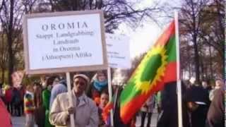 Oromo Music  Nuho Gobana  Isin Waamti Harmeen [upl. by Helaine]