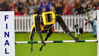 I Entered A Robot Dog Into A Dog Competition [upl. by Einnim]