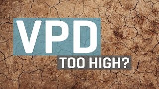 VPD Too High [upl. by Macur691]