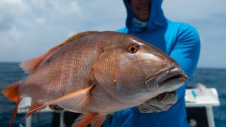 All about MUTTON SNAPPER and how to catch them  Two Conchs Online TVEP 48 [upl. by Knowle]