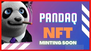 PandaQ NFT  Upcoming NFT Project 2024  Gain Massive Income 100X [upl. by Eednac]