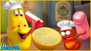 LARVA SEASON 2 EPISODE Chef  COMICS  MINI SERIES FROM ANIMATION [upl. by Chesney]