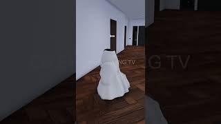 SPYING ON ODERS IN ROBLOX SNAPBLOX [upl. by Yves]