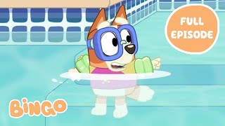 Bingo in the Pool 💧🧡  Bluey Series 1 FULL EPISODE  Bingo  Official Channel [upl. by Jewel]