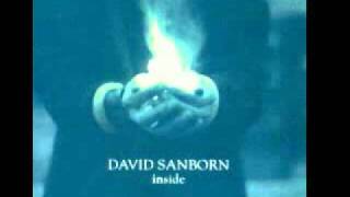 David Sanborn ft Cassandra Wilson  Day Dreaming [upl. by Hplodnar]