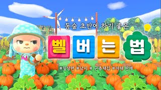 20분에 54만벨 일상 속 벨 모으는 습관 ㅣ모동숲 꿀팁 일상 ㅣACNH [upl. by Kraul630]