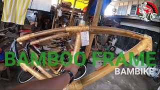 BAMBOO BIKE FRAME BY BAMBIKE [upl. by Adraynek902]