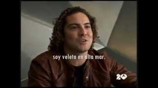 DAVID BISBAL UN AMOR QUE VIENE Y VA  Lyrics [upl. by Morie]