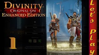 Lets Play Divinity Original Sin  Enhanced Edition CoOp Episode 1 Part 12 [upl. by Georas]