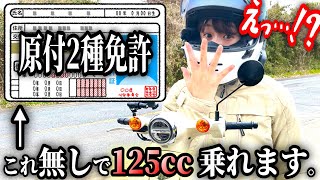 【マジです】普通・原付免許で125ccに乗れる⁉50ccが消滅⁉【2025年新原付一種】最新情報と問題点解説❗ [upl. by Monreal]