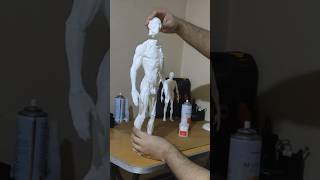 Anatomically Accurate Human body 3D print 🫀 3d 3dprinting anatomy asmr [upl. by Mcgruter779]