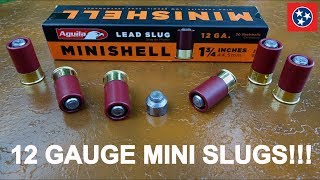 12 Gauge Aguila MiniSlug Review [upl. by Saffren344]