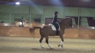 Suzie Halle Dressage USA filmed by PIXIO [upl. by Ranson]