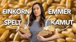 Battle of the Ancient Grains Spelt vs Einkorn vs Emmer vs Kamut wheat [upl. by Suivatco]