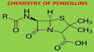 CHEMISTRY OF PENICILLIN [upl. by Cerelly312]