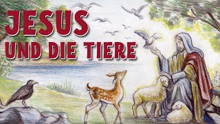 Jesus und die Tiere Wie sagte Jesus über Tiere [upl. by Jarib]