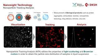 Nanoparticle Tracking Analysis [upl. by Osgood]