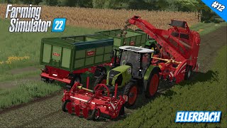 Suikerbieten rooien  Ellerbach 12 fs22 [upl. by Arriet]