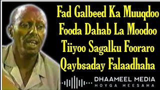 Heestii Fad Galbeed  Cumar Dhuule  Hees Qaraami Xul ah With Lyrics [upl. by Ulita]