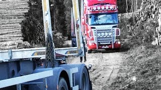 Timber Trucking Sweden [upl. by Belanger605]