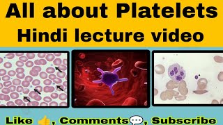 Platelets in hindi  Platelets  All abhout platlets  Dmlt  Bmlt  hematology blood dmlt bmlt [upl. by Rezeile]