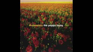 Illumination  The Poppy Rocks 2004 [upl. by Sanford131]