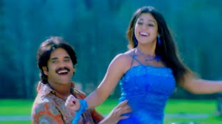 Andagadu Muttukunte Video Song  Boss Movie  Nagarjuna Nayanthara  VolgaMusicBox [upl. by Tallbot]