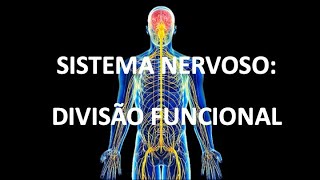 SISTEMA NERVOSO DIVISÃO FUNCIONAL [upl. by Adlitam]