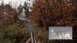 Scouting for Deer with a shotgun  Grouse Hunting Vermont [upl. by Uos444]