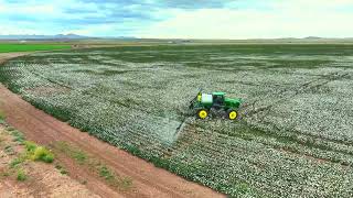 Aplicando Madurador y Defoliante en Algodón Chihuahua Mexico John Deere 4830 [upl. by Armalda]