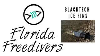 Product Review I BlackTech ICE Fins I Florida Freedivers [upl. by Tlihcox]