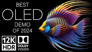 BEST OLED DEMO OF 2024  DOLBY VISION 12K HDR 120fps [upl. by Yerrot]