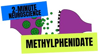 2Minute Neuroscience Methylphenidate [upl. by Ahsropal485]