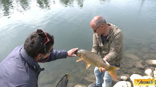 MONDO PESCA  PESCA DI PRIMAVERA  MONTANASO LOMBARDO LODI  CANALE BELGIARDINO  pescasportiva [upl. by Morgen777]