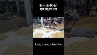 नीमच औषधि मंडी भाव। सूखे नींबू का भाव । neemuch mandi bhav shorts [upl. by Vivyan]