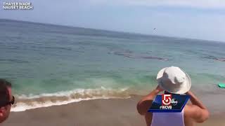 Video shows shark attack feet away from Cape Cod surfers [upl. by Nesahc]