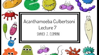 8 Acanthamoeba Culbertsoni [upl. by Dinerman838]