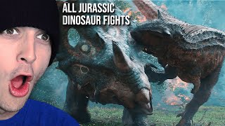 Jurassic Showdowns Most Intense Dinosaur Battles Reaction [upl. by Hartzell]