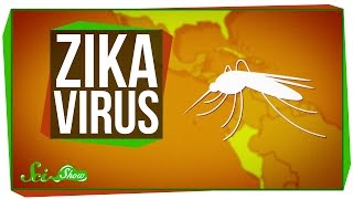 Zika Virus What We Know And What We Dont [upl. by Airegin]