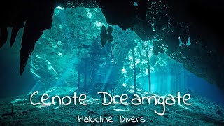 Halocline Divers  Cenote Dreamgate [upl. by Atinrev]