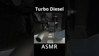 Isuzu DMax Turbo Diesel ASMR diesel asmr isuzu isuzudmax 4x4 revcut [upl. by Guise857]