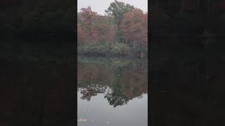 Relaxing by Laurel lake Breaks Interstate Park Breaks VA [upl. by Donohue]