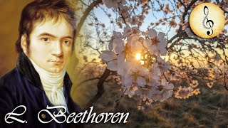 Beethoven  Egmont Overture Finale Op 84  Best Classical Music  Symphonic Orchestral Music [upl. by Havot]